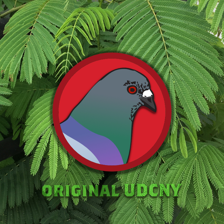 UDCNY Pigeon – Forest