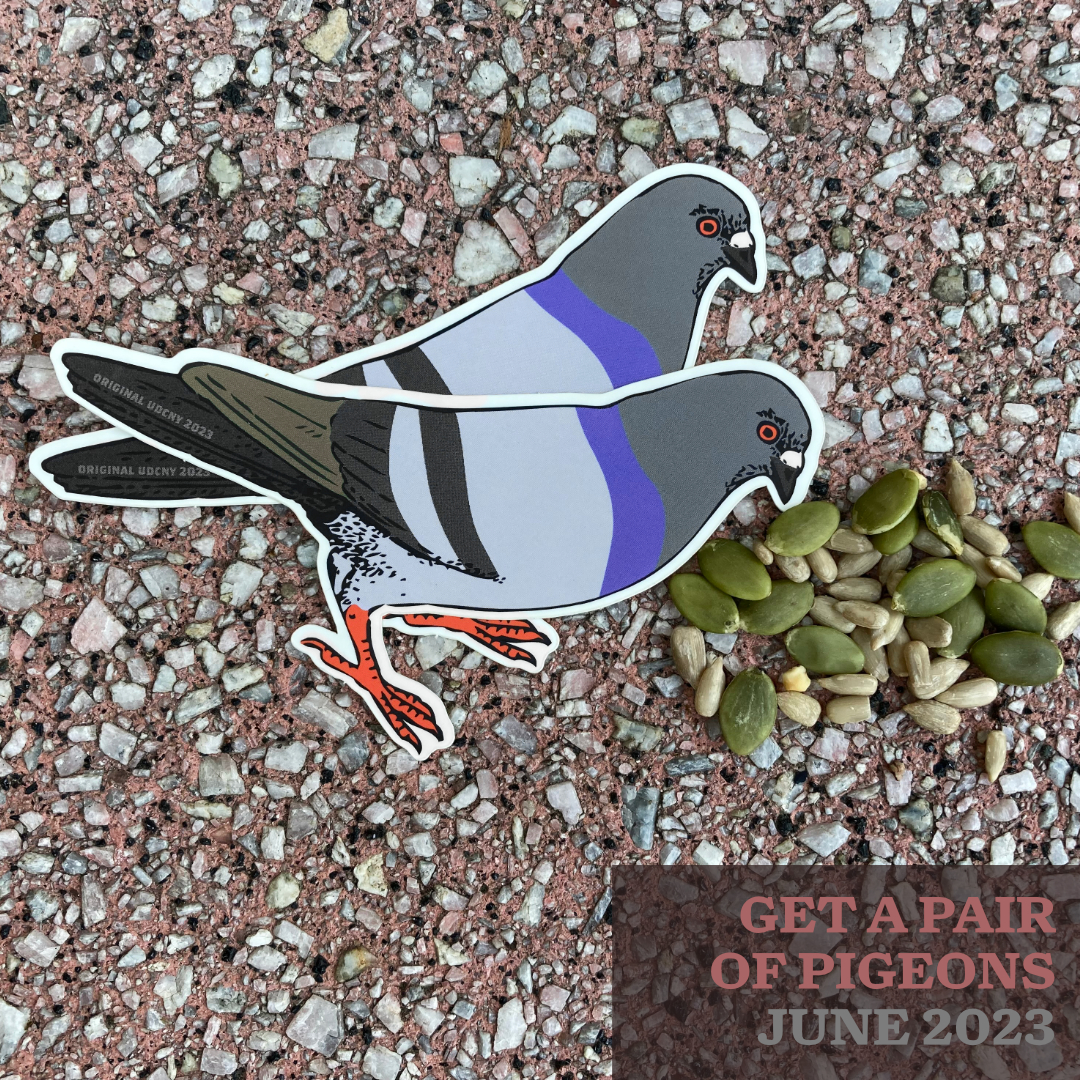 Pair of Pigeons