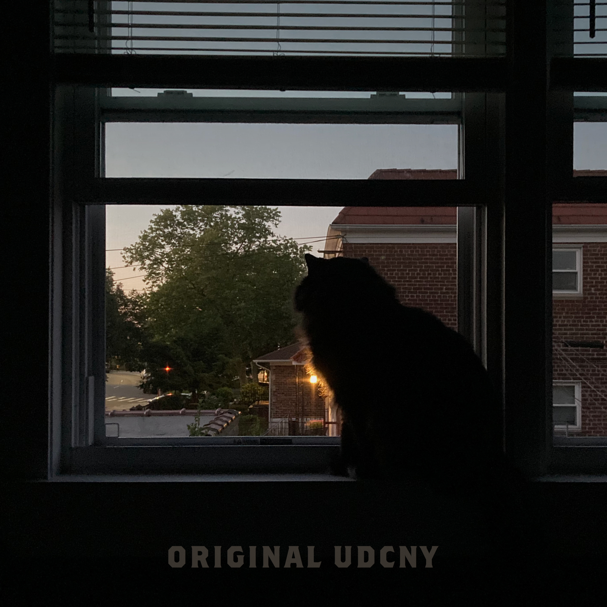 June Dawn